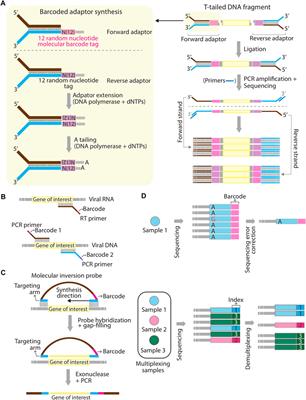 A systematic review of the barcoding strategy that contributes to COVID-19 diagnostics at a population level